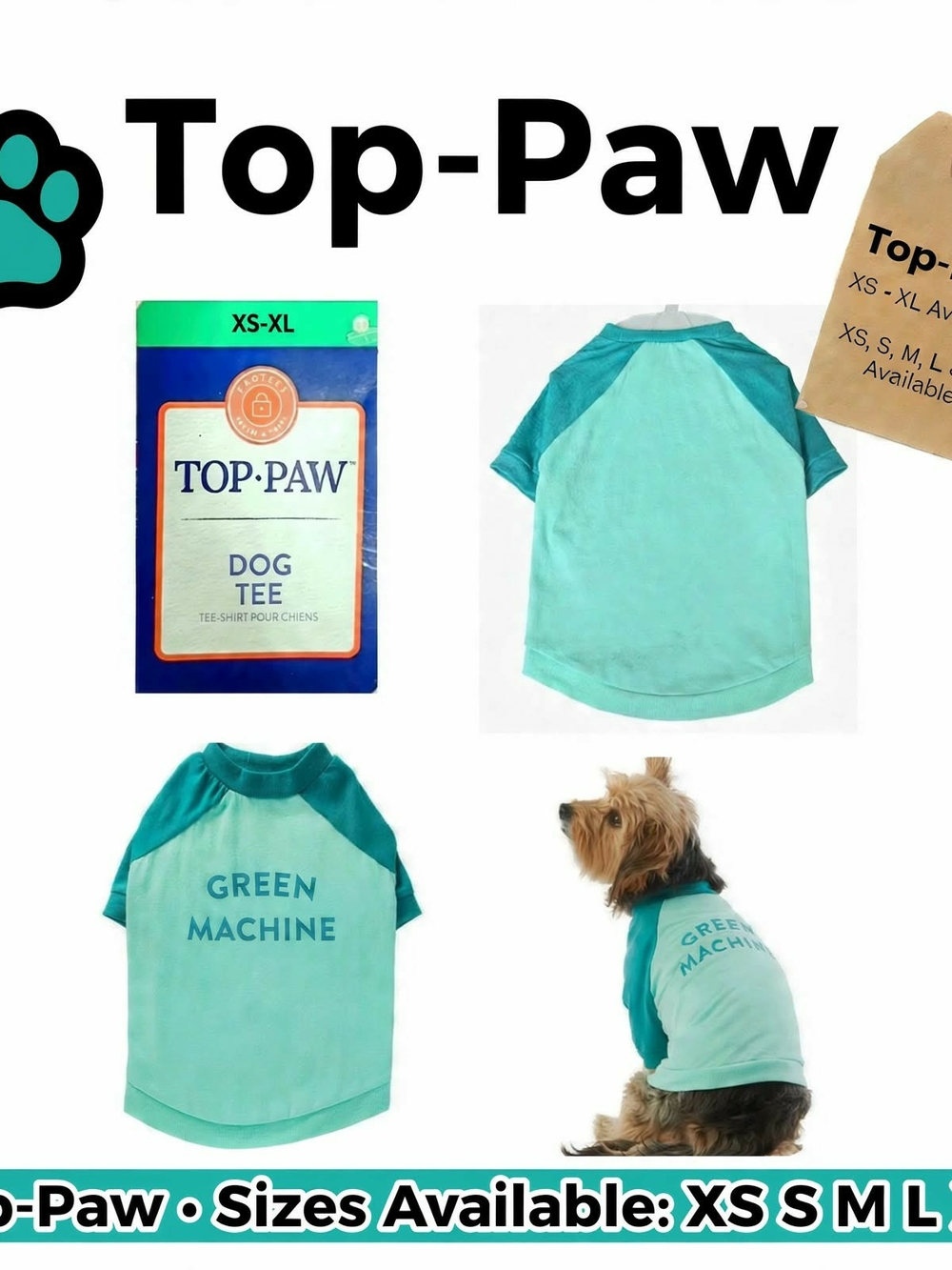 Top Paw Dog Tee - Mint & Teal "Green Machine"